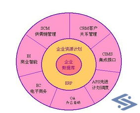 四川頂尖電子商務開發公司推薦 打造專業商城網站與網絡開發解決方案
