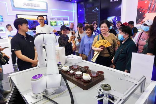 創(chuàng)新驅(qū)動發(fā)展，亦莊智造閃耀科博會